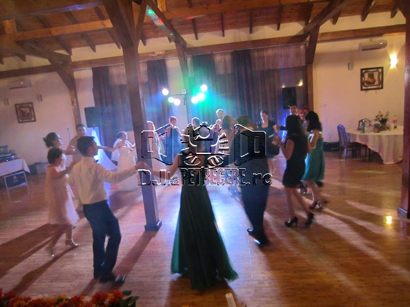 Nunta cu DJ la Popasul Voievozilor - sat Lacul Turcului - 6