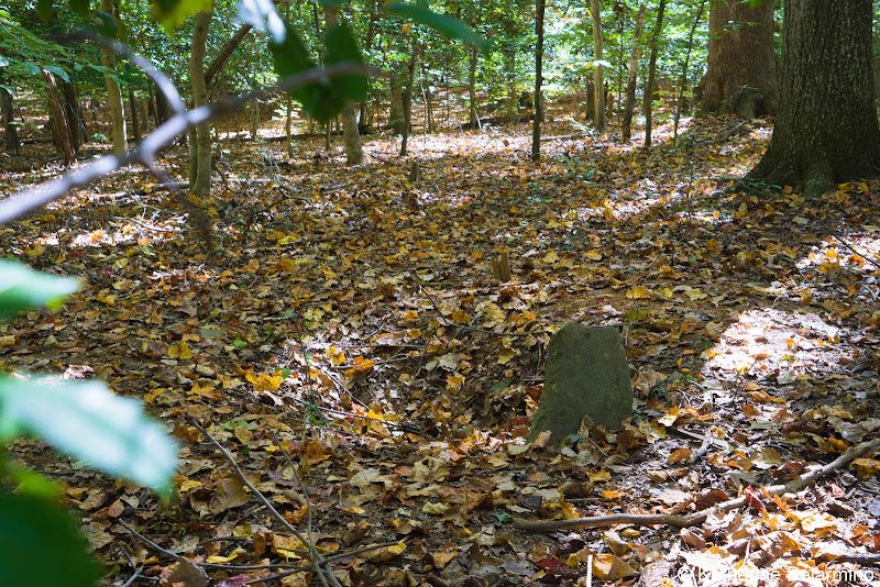 Graves Prince William Forest Park