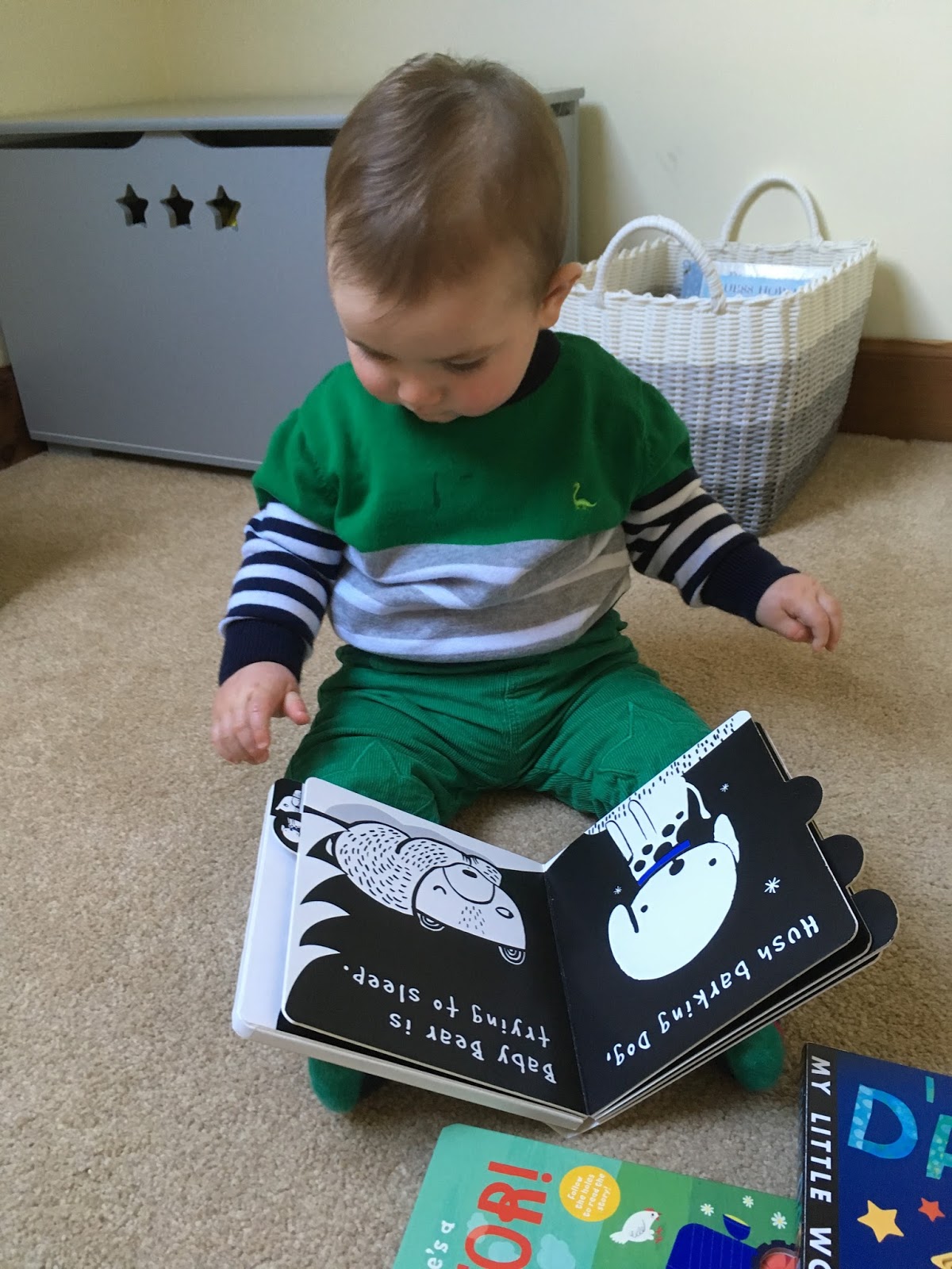 The Best High Contrast Books for Babies BookBairn