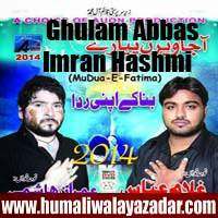 http://ishqehaider.blogspot.com/2013/11/ghulam-abbas-imran-hashmi-nohay-2014.html