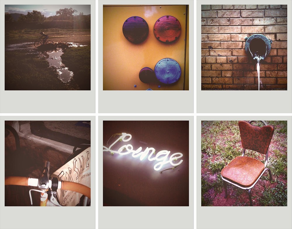 danielle-s-blog-polaroid-pictures-wb