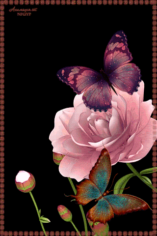 rosa%2B13%2B-%2B1%2B%25281%2529%2B%25281