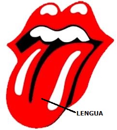 UBICACION DE LA LENGUA Imagen indicando la ubicación de la lengua