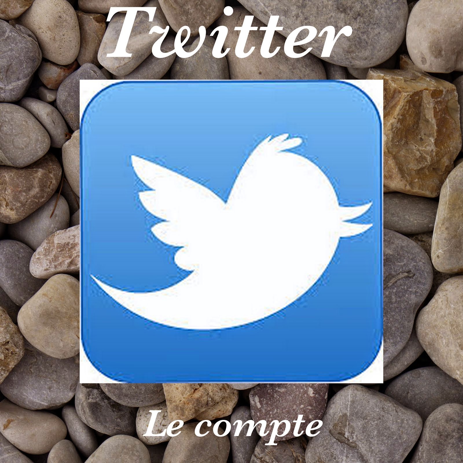 Suivre le blog sur Twitter