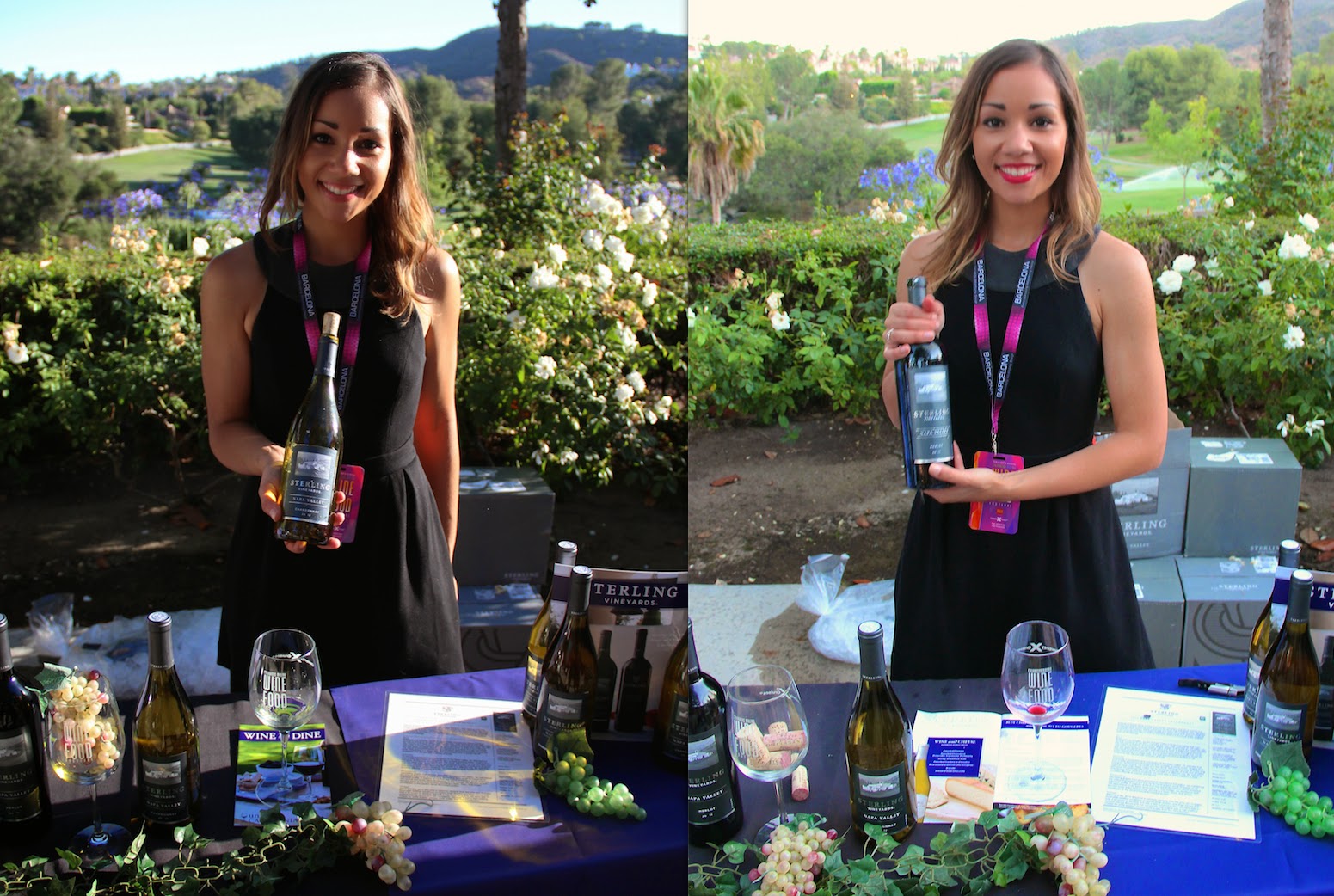 Taste N Trip Calabasas Malibu Wine & Food Festival 2014