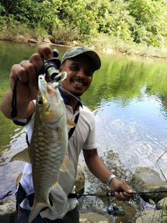 Teknik mancing masheer di sungai Aceh besar Teknik mancing masheer di sungai Aceh besar