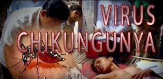 Chikungunya-signos-síntomas