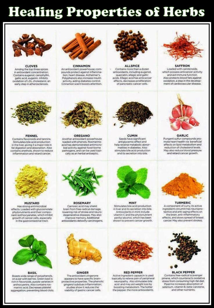 Healing Properties of Herbs