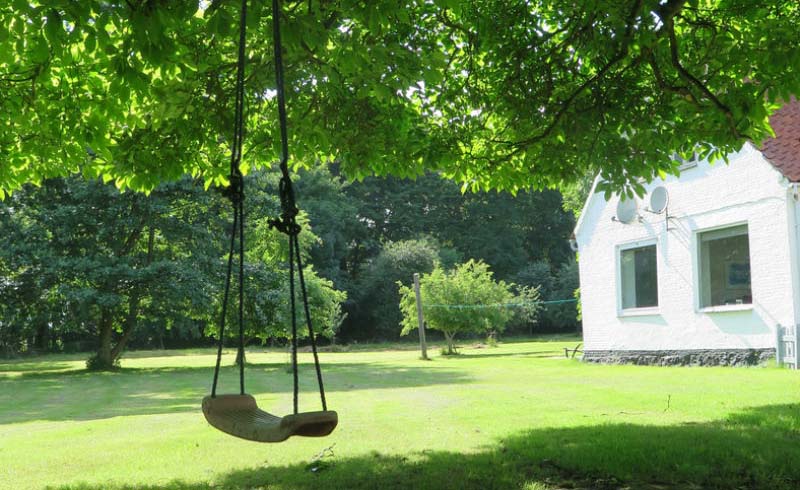 Solved! The Best Grass to Grow in Your Shaded Lawn