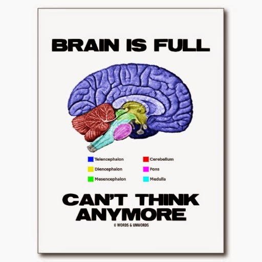 i think my brain just committed i think my brain just committed