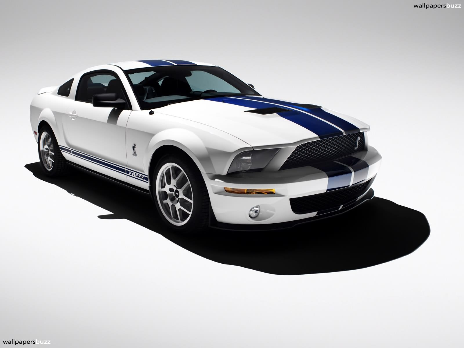 2005 Cobra ford mustang shelby #9