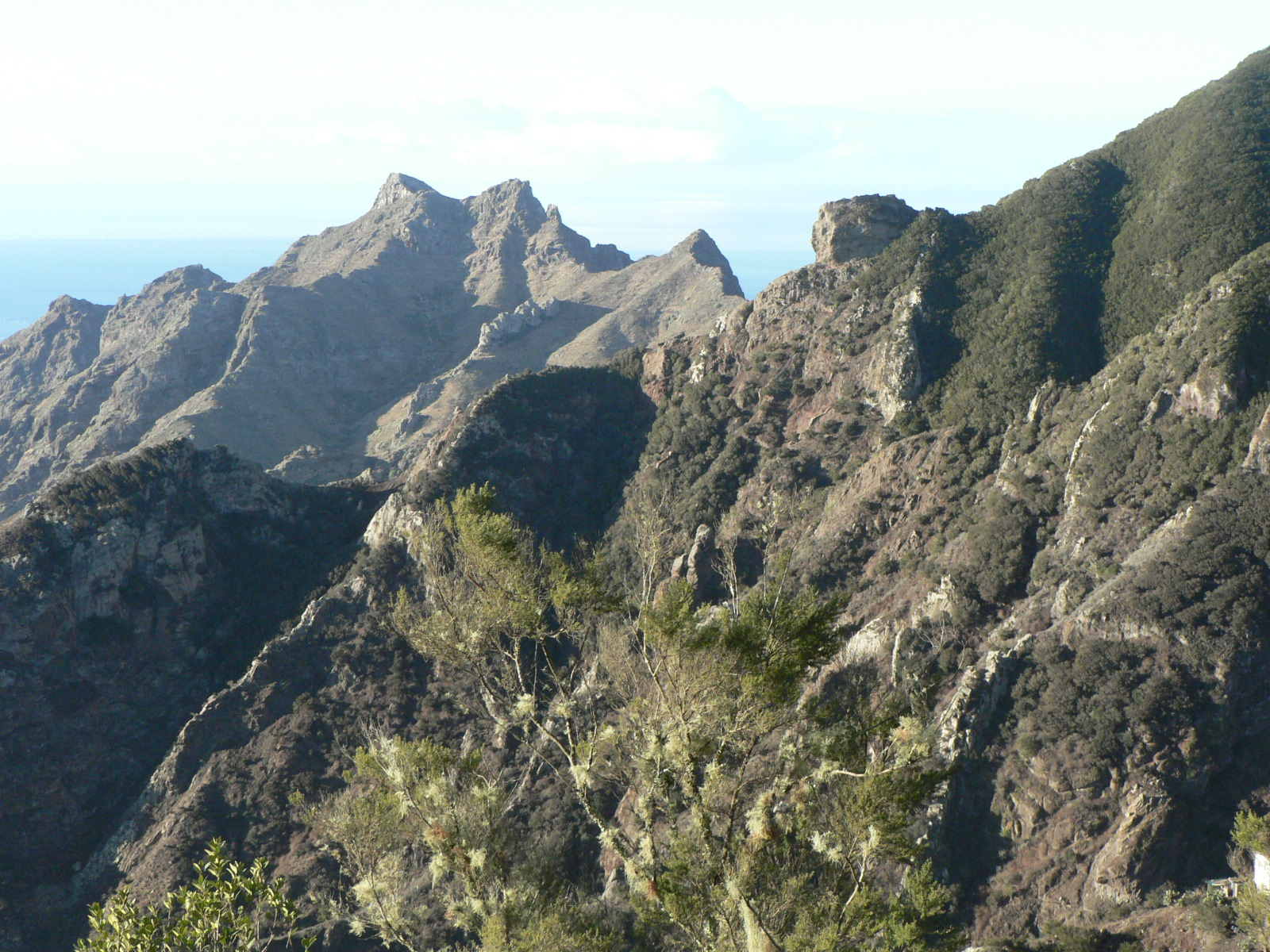 MONSECCA ANAGA... Reserva MUNDIAL de la Biosfera