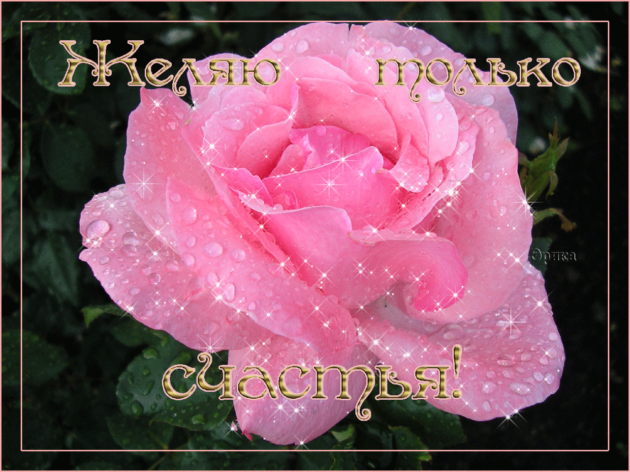Счастья тебе картинки красивые