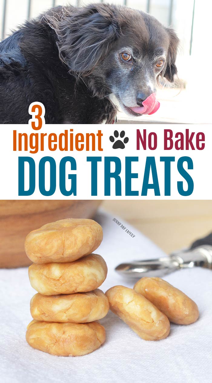 DIY 3-Ingredient Chicken Pupsicles for Dogs - Dog Mom Days
