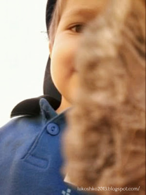 Демид Лукошко Элси