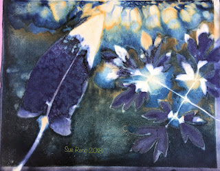 Wet cyanotype_Sue Reno_Image 395