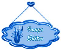 EDITOR DE IMAGEM