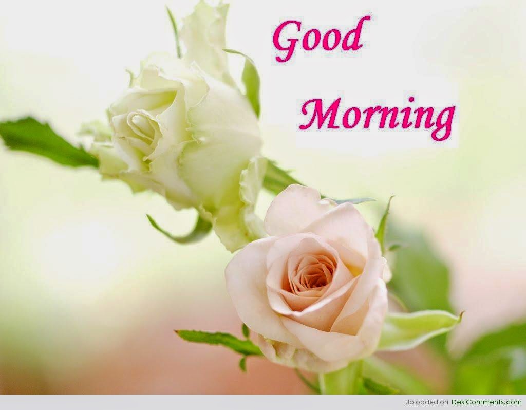 Top 20+ Good Morning Beautiful Pictures Free Download - Beautiful Good ...