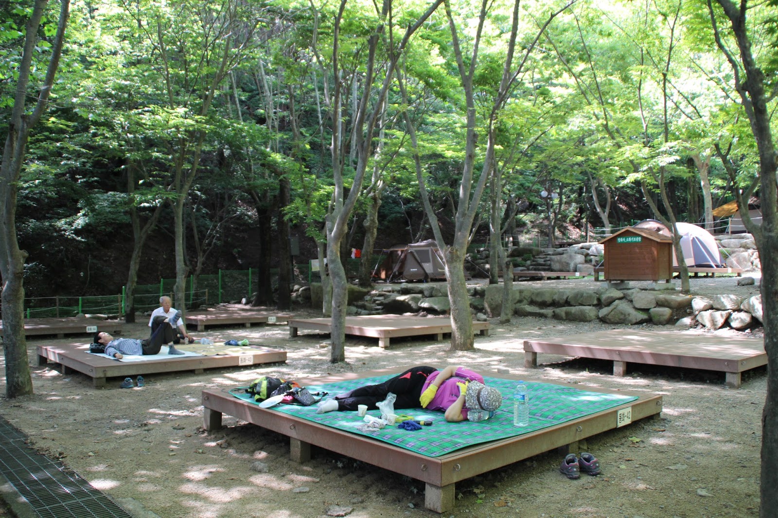 Camping Spot for Summer Vacation in South Korea Donghwa Campsite in