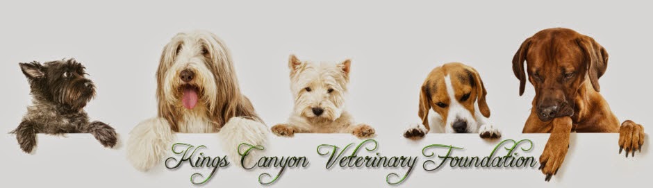 Kings Canyon Veterinary Foundation
