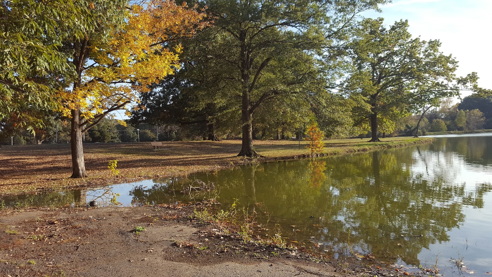 Divers and Sundry Coffee at Audubon Park Lake