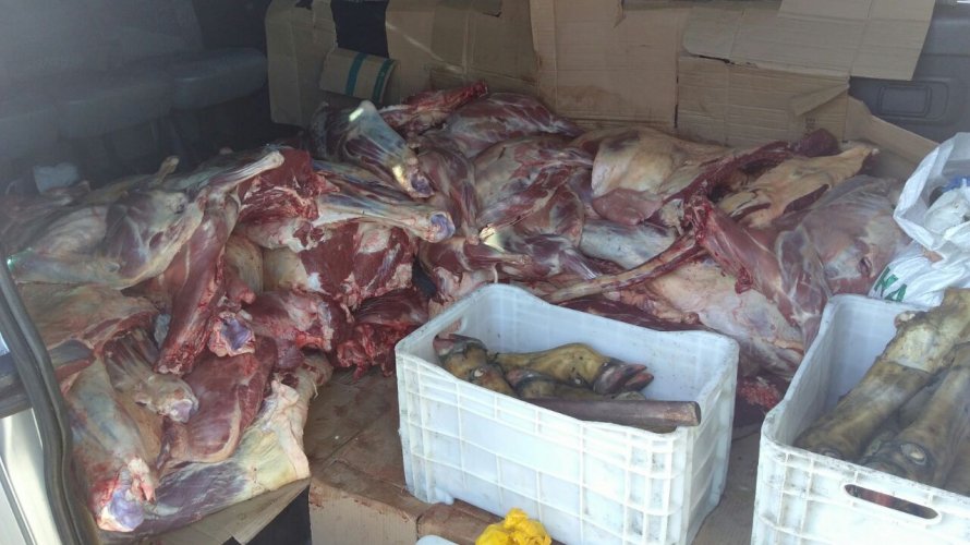 Operação apreende 1,5 tonelada de carne adulterada na Bahia; produtos eram transportados para Salvador Operação apreende 1,5 tonelada de carne adulterada na Bahia; produtos eram transportados para Salvador