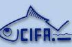 CIFA Jobs CIFA Jobs