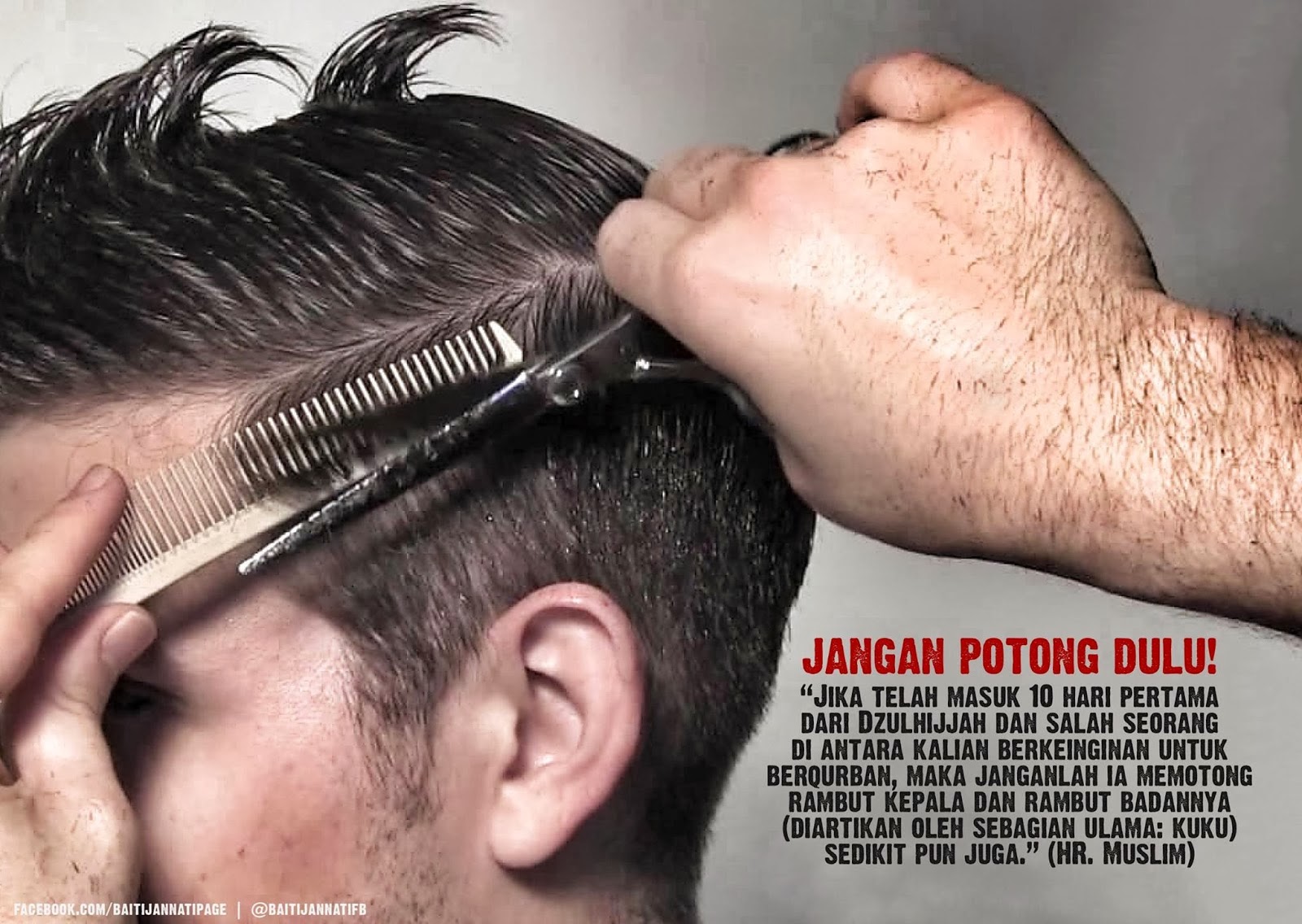Kumpulan Artikel Islam: Larangan Mencukur Rambut dan ...