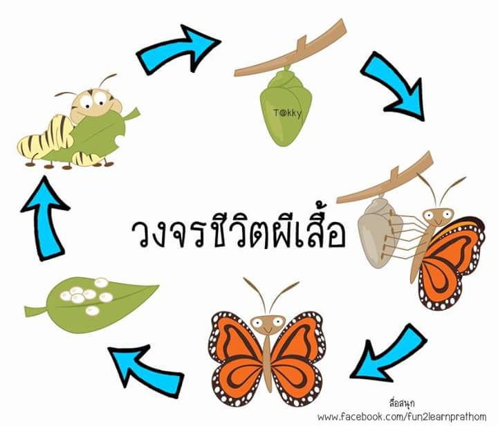 My Image 10