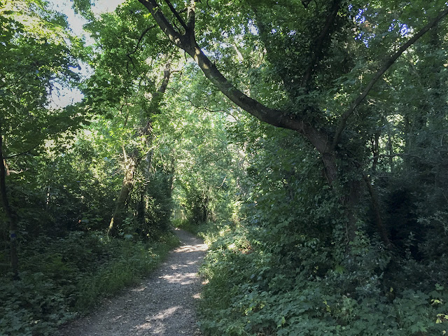 Walk round the Hawkwood Estate 26, 30 August 2016 Walk round the Hawkwood Estate 26, 30 August 2016