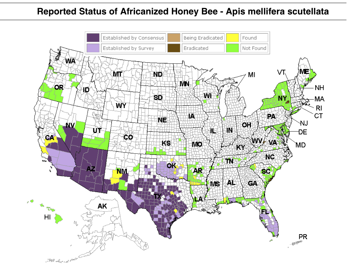 Field Notes and Photos Looking into tree holes along the 3 Lakes Trail!