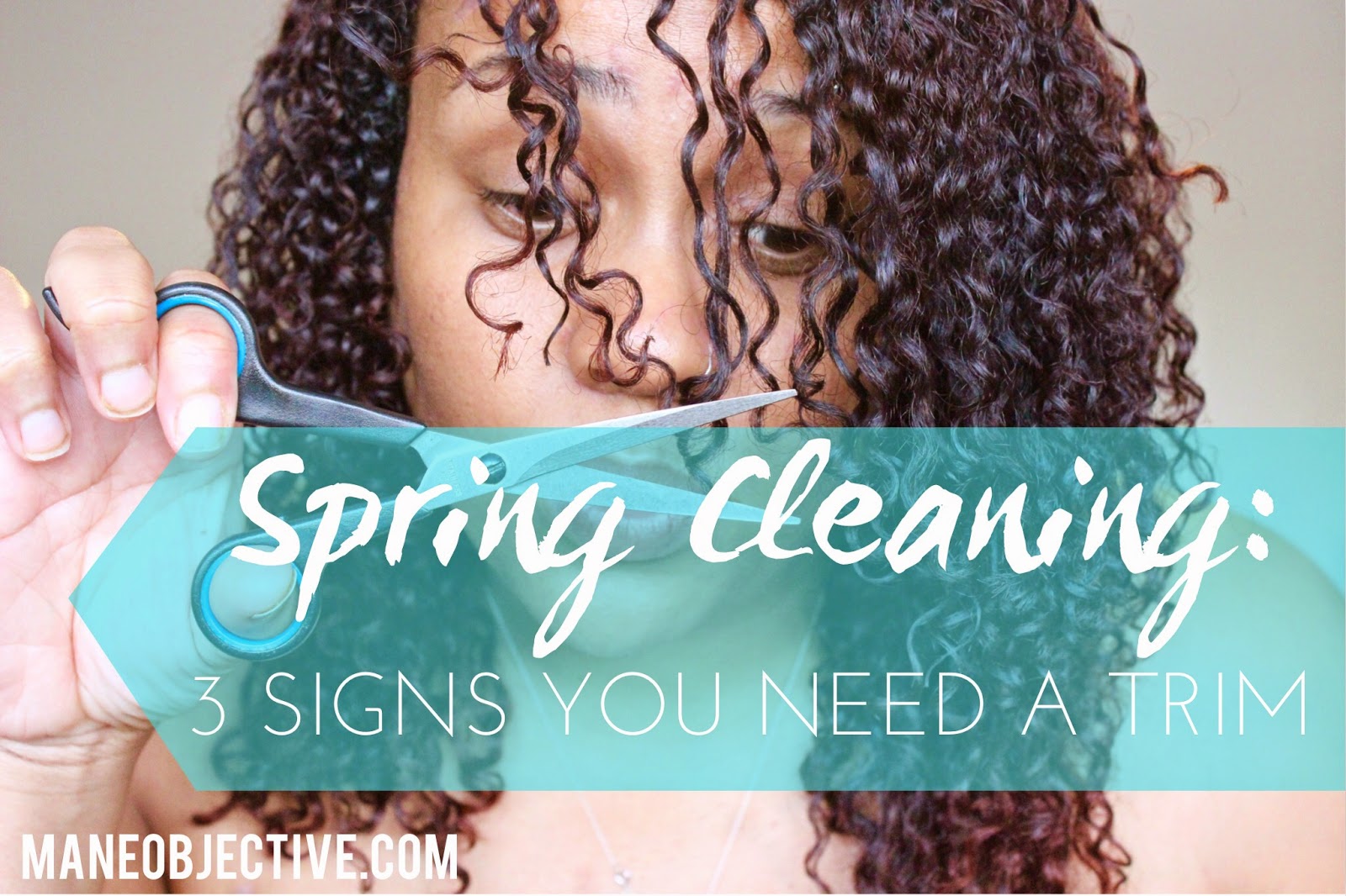 Spring Cleaning: 3 Signs You Need a Trim this Season