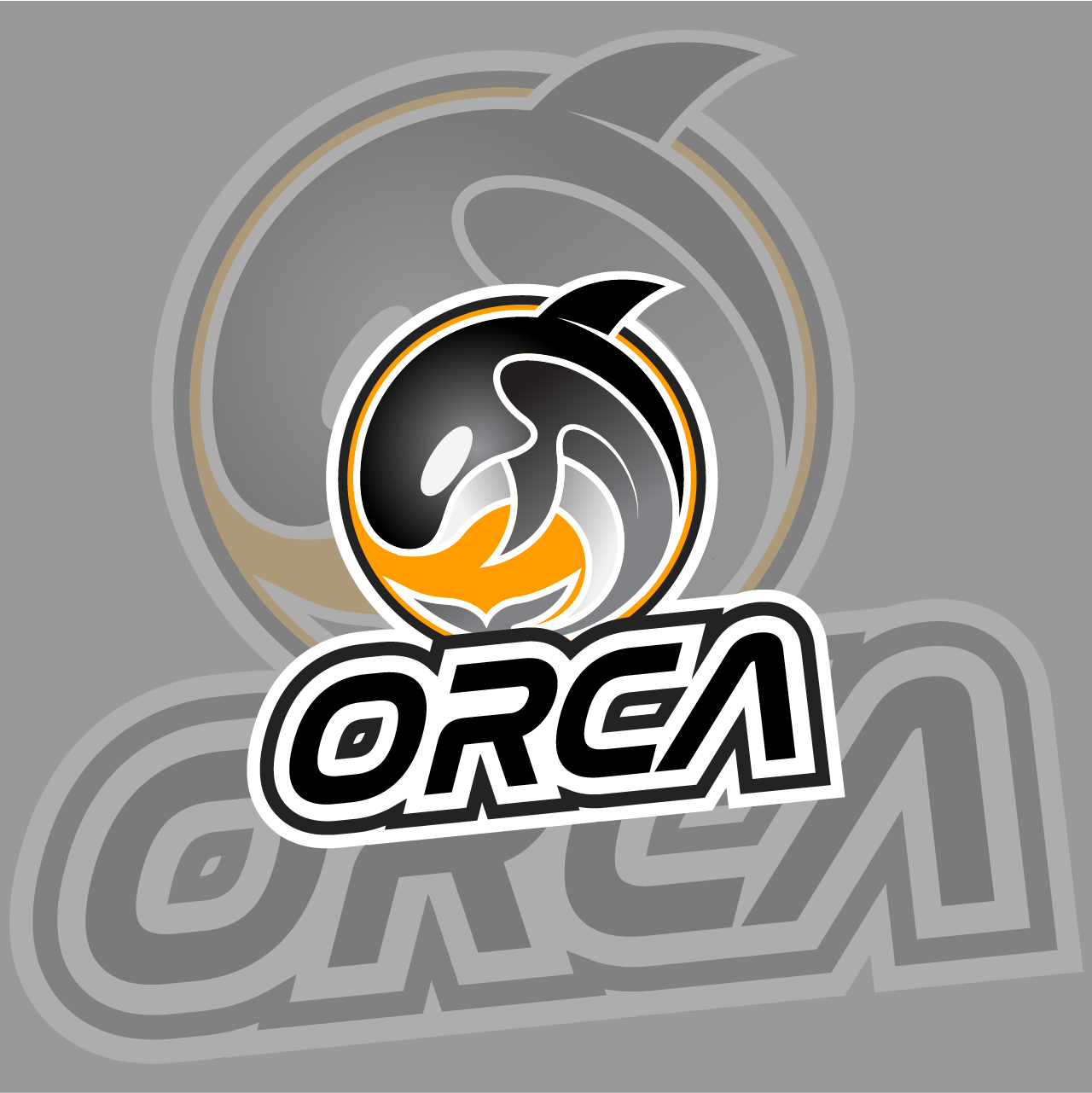 Orca Logo H2 Design s