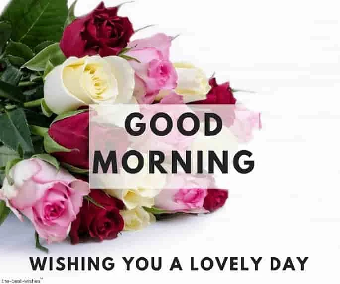 wonderful good morning roses bouquet