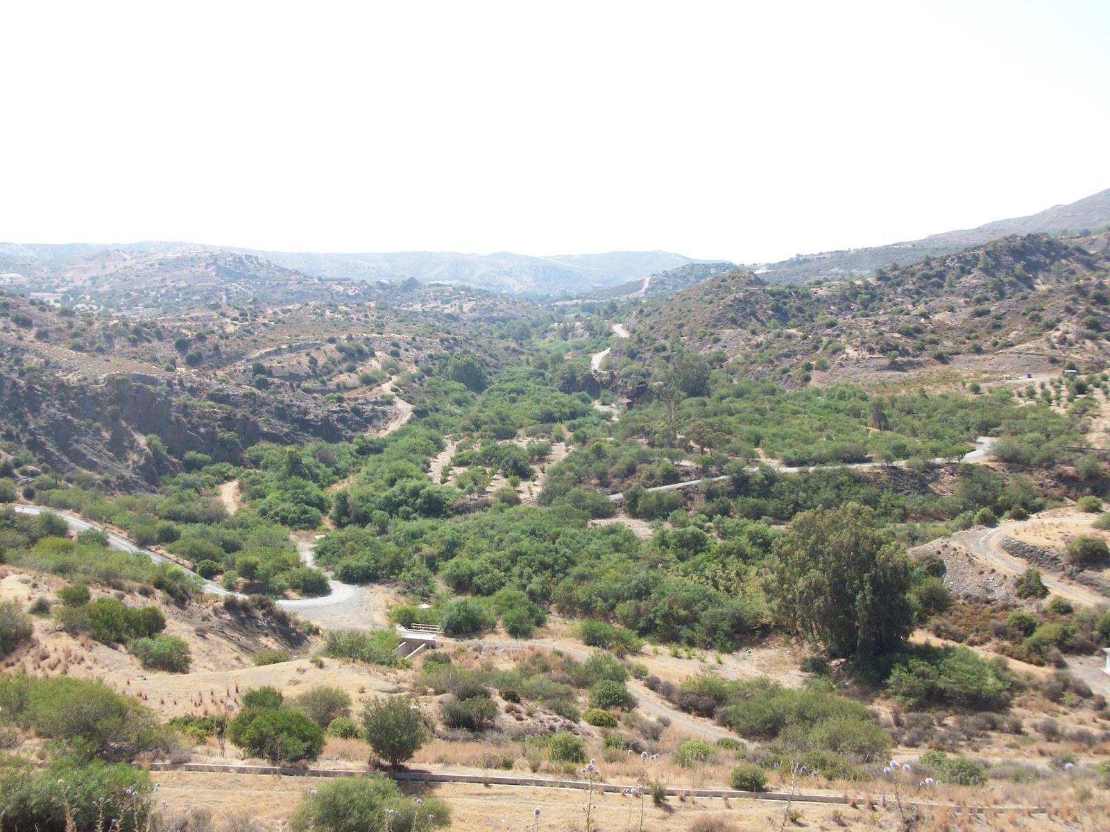 Travel Cyprus With Your Dog Explore the Vasilikos Valley... with your dog