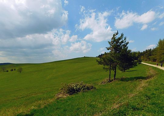 Za nami niższy wierzchołek Rzepedki. Za nami niższy wierzchołek Rzepedki.
