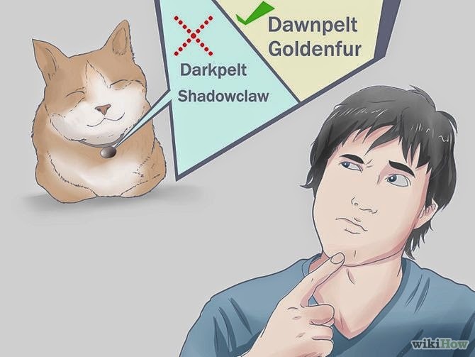 Warrior Cat Names