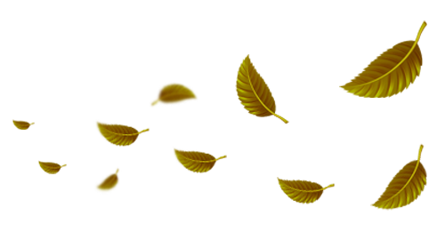 10 Gambar Daun Vektor Png Gratis Untuk Desain Vektor Anda Jalan Kucing