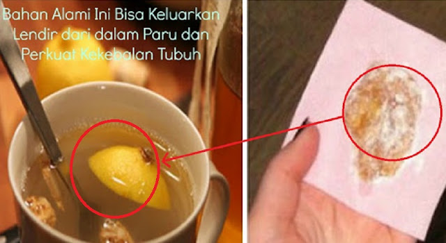 Lendir dalam Paru-Paru Keluar dengan Sendirinya dan Bisa Perkuat Kekebalan Tubuh Cukup Menggunakan Bahan Alami yang Ada di Dapur Ini !!