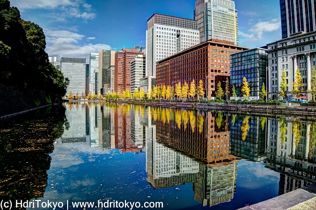 Hibiya moat and Marunouchi business area skyline. ginkgo trees along the moat have yellow leaves.