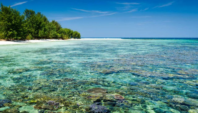 Delapan Surga Bawah Laut Indonesia Yang Banyak Diburu Wisatawan Mancanegara Delapan Surga Bawah Laut Indonesia Yang Banyak Diburu Wisatawan Mancanegara