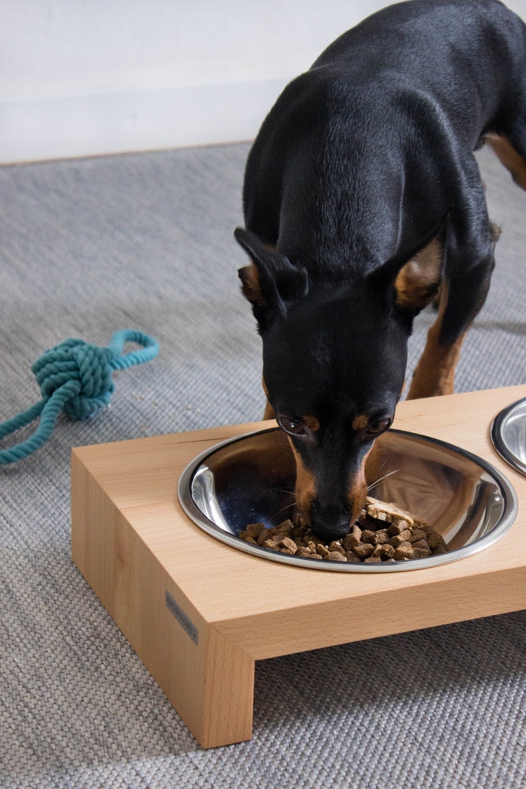 Rezept Hundekekse mit Fisch und Spinat & Online Shop mit Organic Möbeln ... Rezept Hundekekse mit Fisch und Spinat & Online Shop mit Organic Möbeln ...