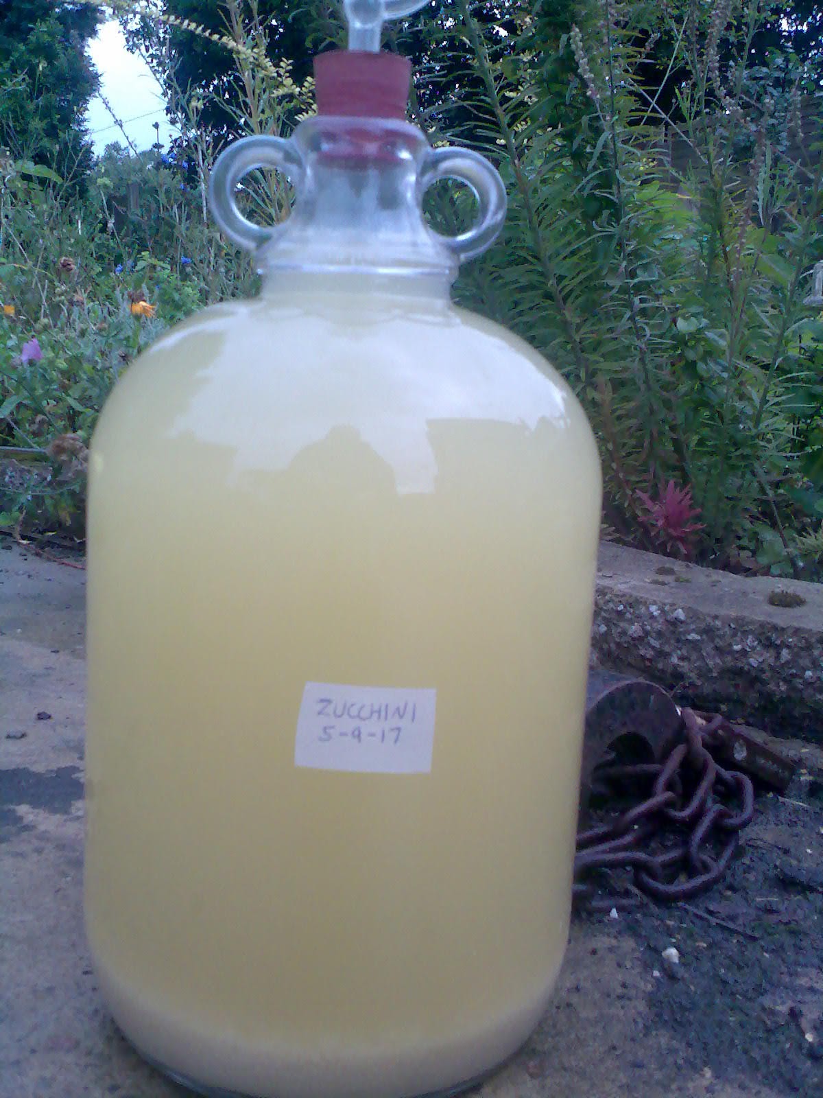 Ben's Adventures in Wine Making Zucchini Wine The Making Of...