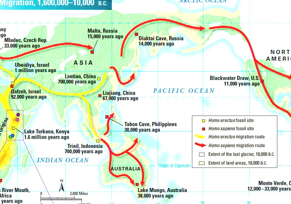 Early Human Migrations - Early Human