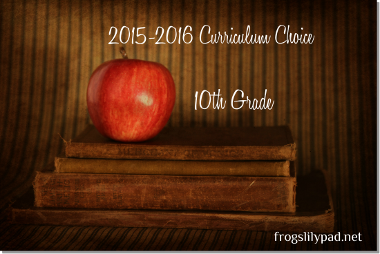 Homeschool High School Curriculum Choice {Grade 10}