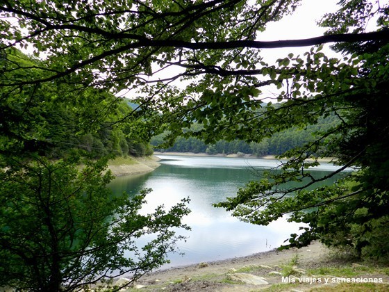 La Selva de Irati, Navarra