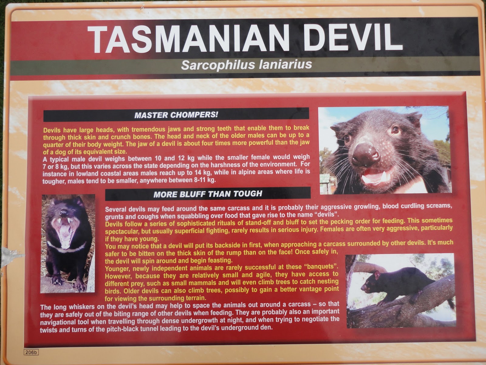 Durnins On Safari: Natureworld (Near Bicheno - Tasmania)