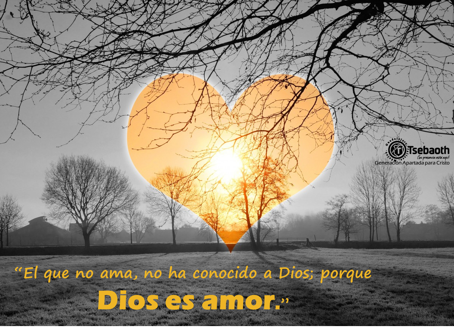 VOLVAMOS AL PRIMER AMOR….!