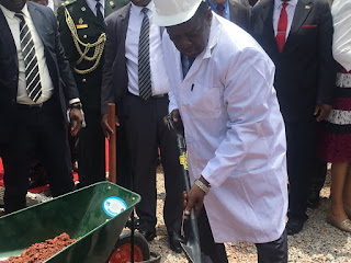 Zimbabwean President
