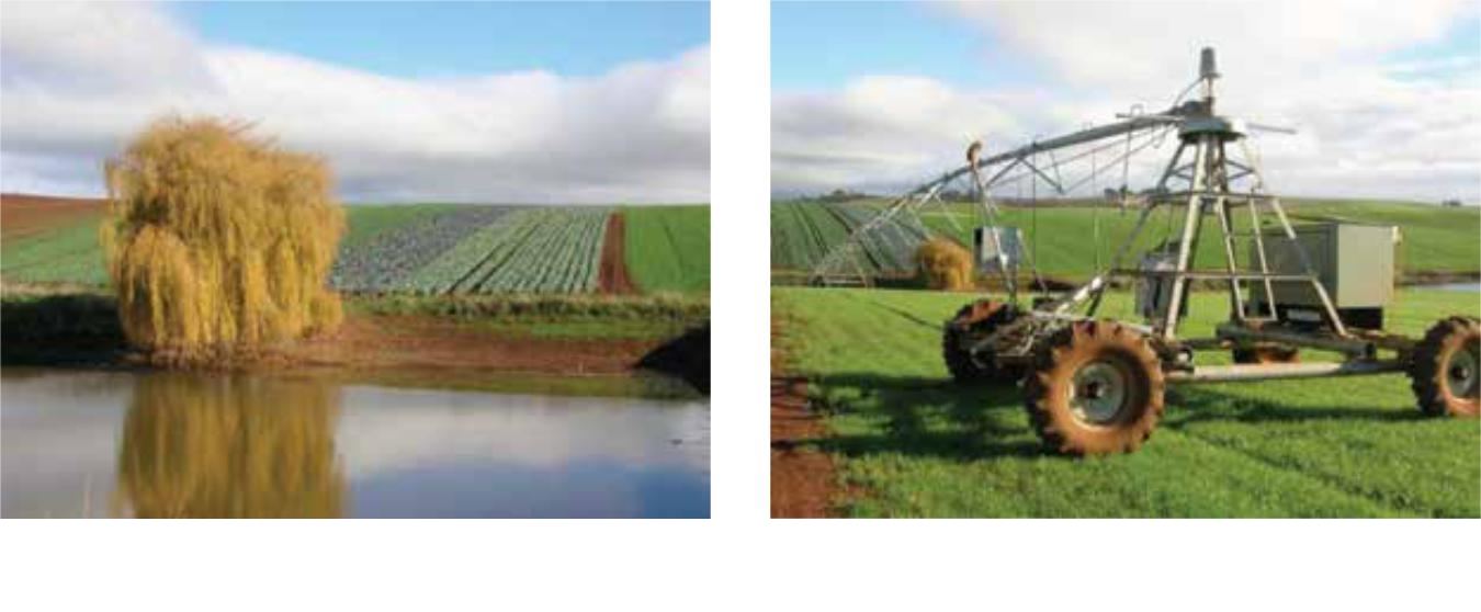 yodii Managing Water